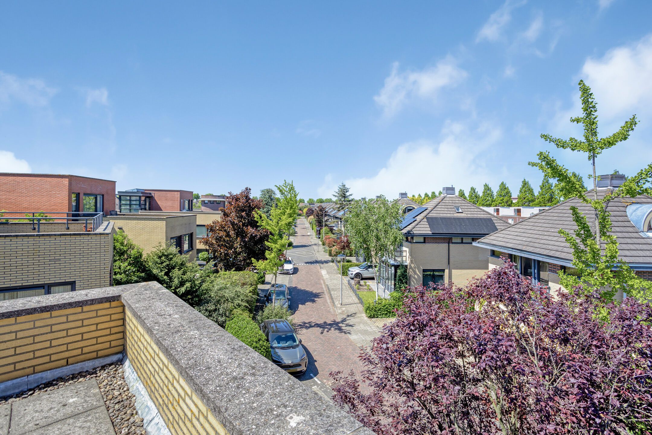 Foto 45 van Blankenweg 32