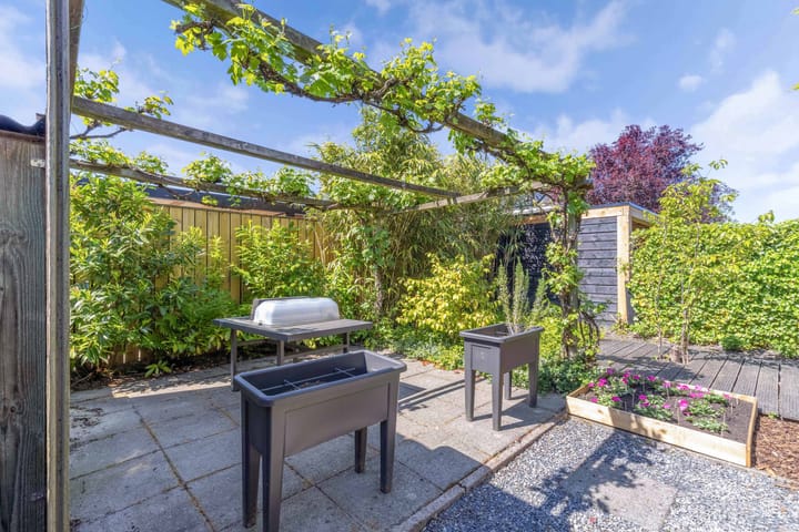 Foto 49 van Zaailand 82