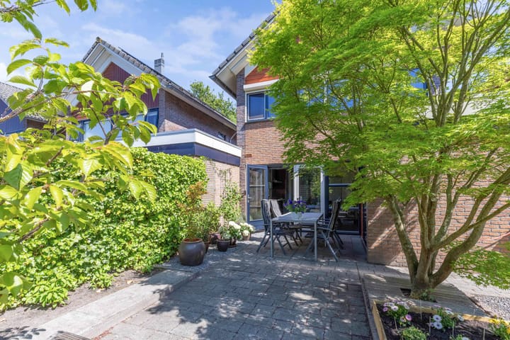 Foto 50 van Zaailand 82