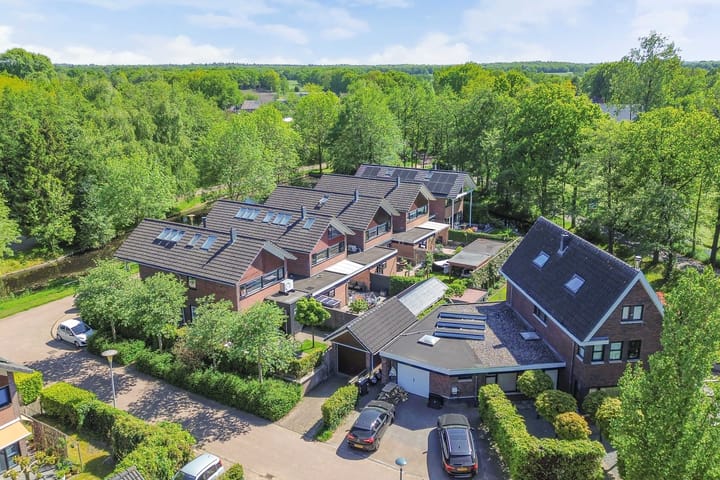 Foto 57 van Zaailand 82