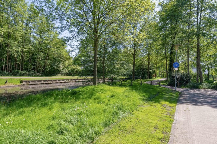 Foto 61 van Zaailand 82