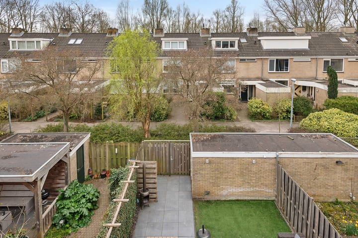 Photo 37 of Graan voor Visch 15319