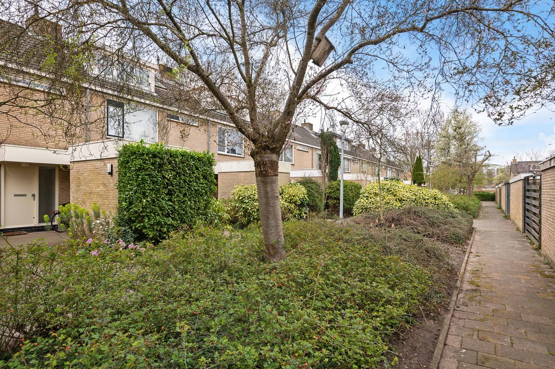 Foto 43 van Graan voor Visch 15319