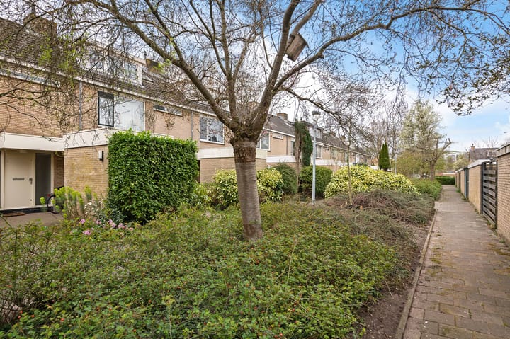 Photo 43 of Graan voor Visch 15319