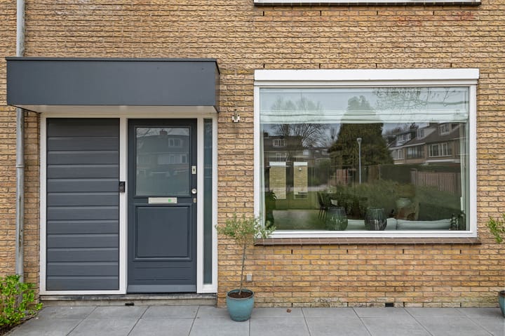 Photo 48 of Graan voor Visch 15319