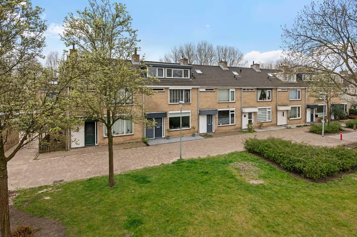 Photo 52 of Graan voor Visch 15319