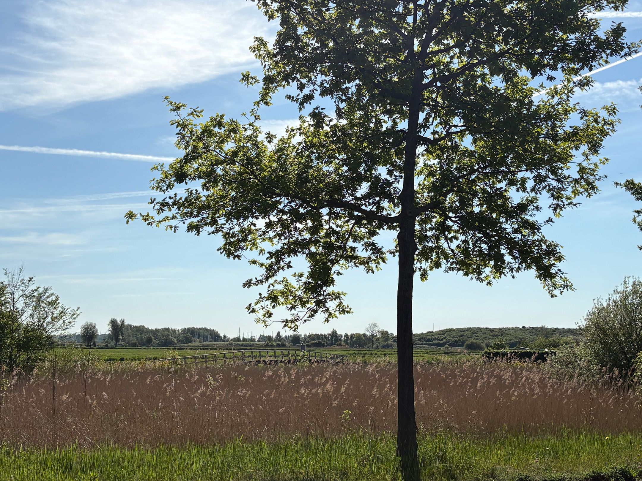 Photo 27 of Vondelweg 98-ZW
