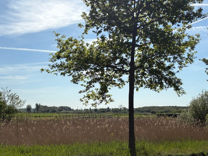 Foto 27 van Vondelweg 98-ZW