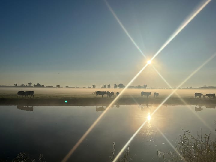 Foto 28 van Vondelweg 98-ZW