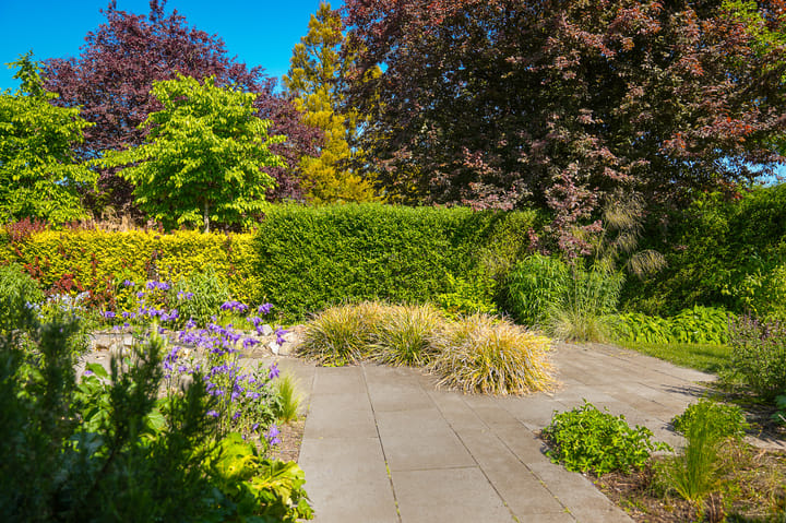 Foto 37 van Lakenstraat 71