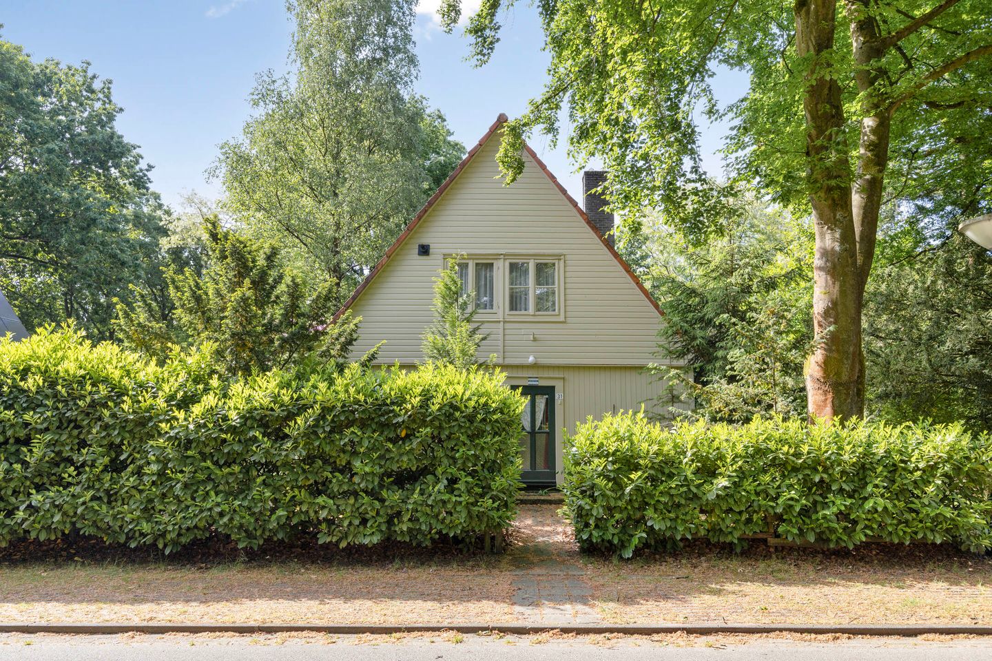 Foto 1 van Hazenloop 31