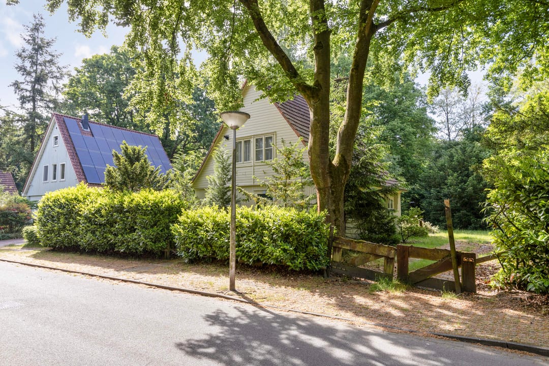 Foto 2 van Hazenloop 31