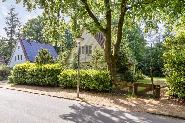 Foto 2 van Hazenloop 31