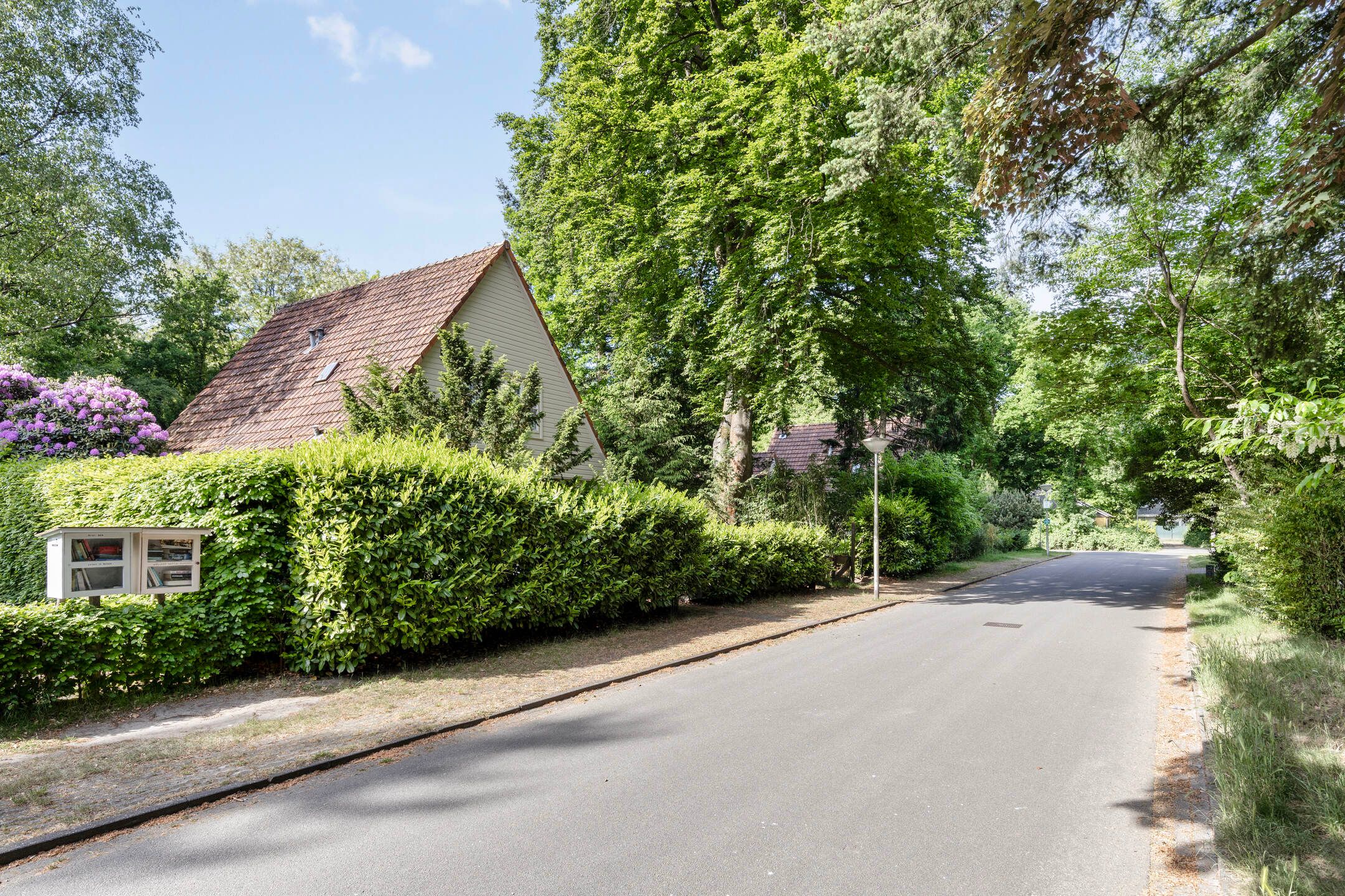 Foto 3 van Hazenloop 31