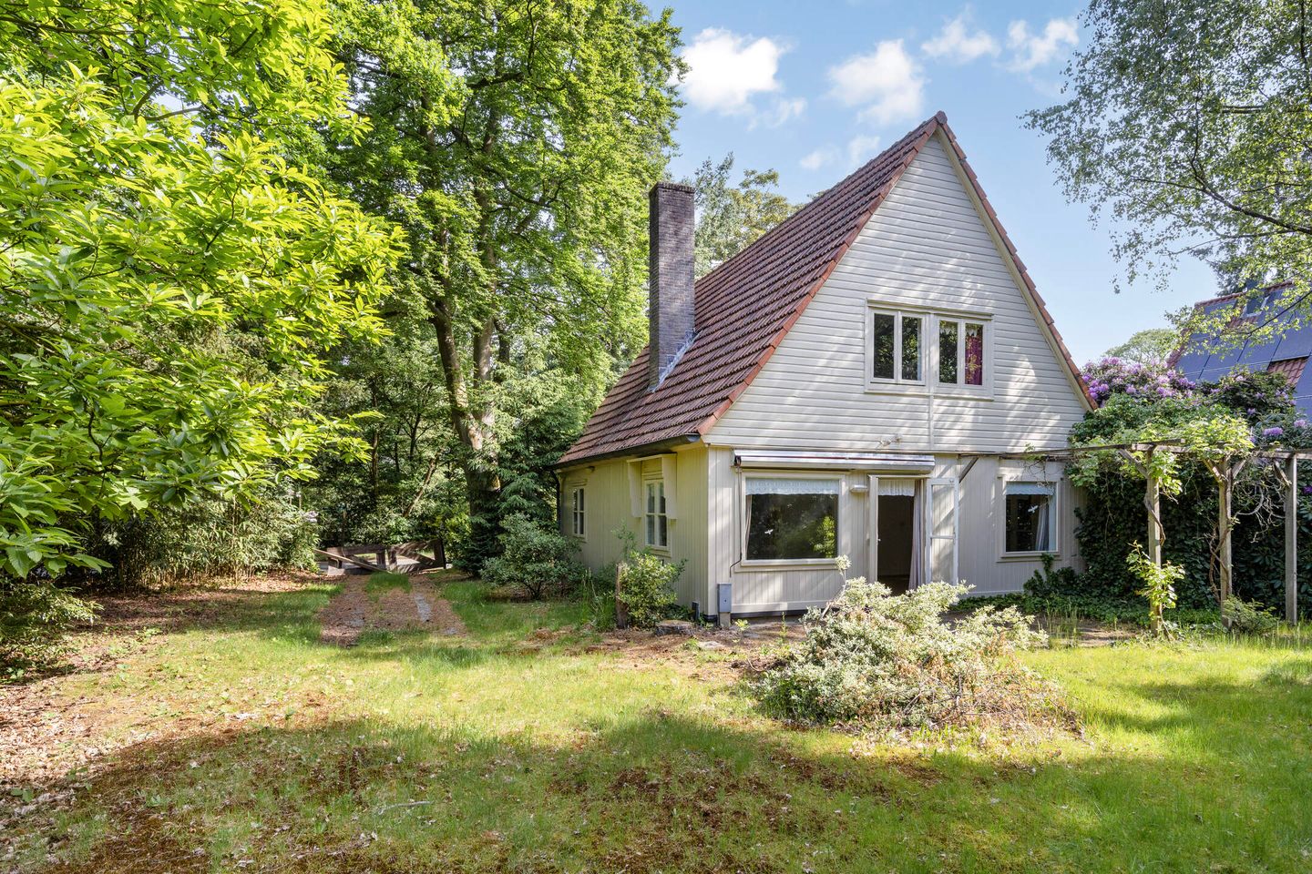 Foto 4 van Hazenloop 31