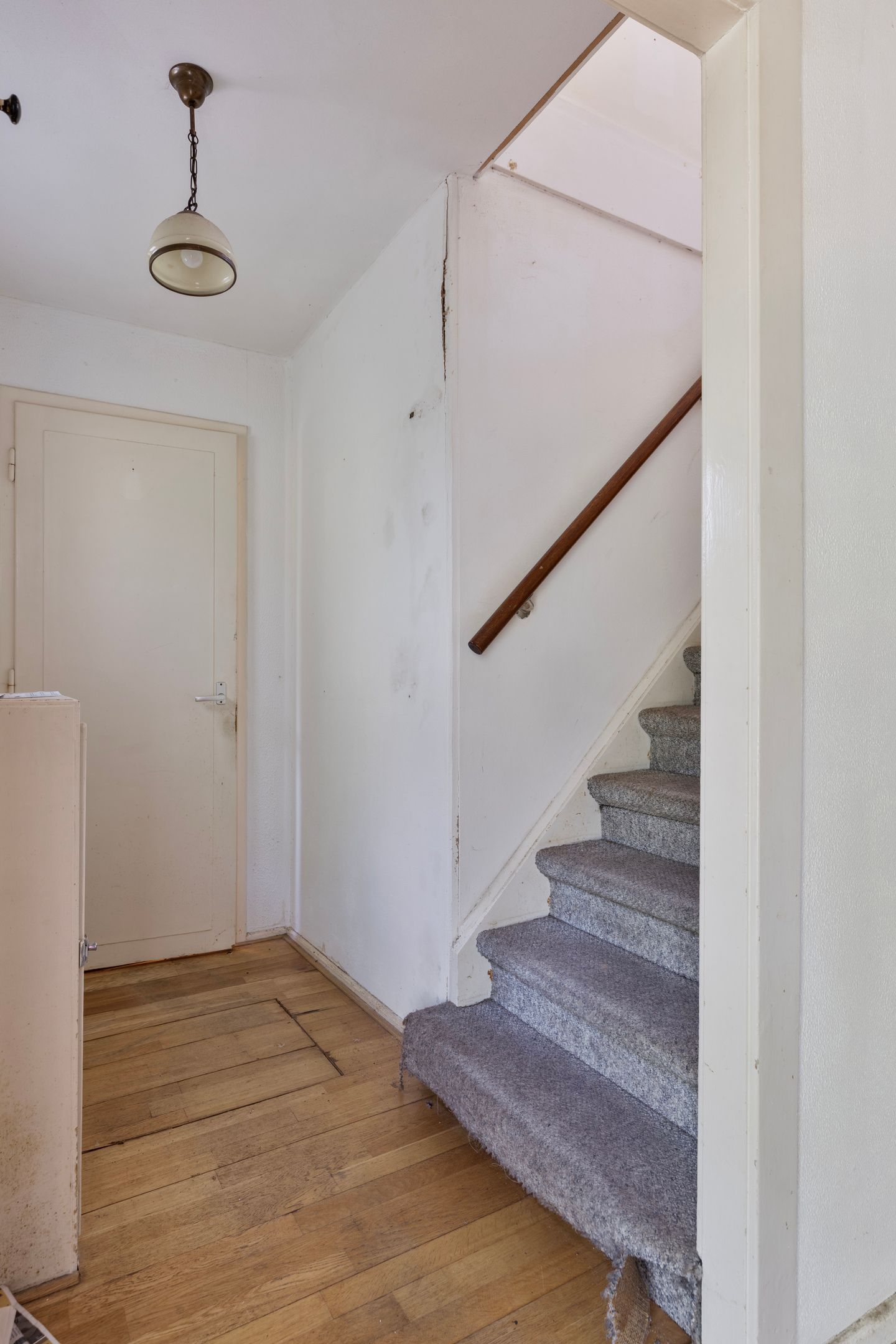 Foto 9 van Hazenloop 31