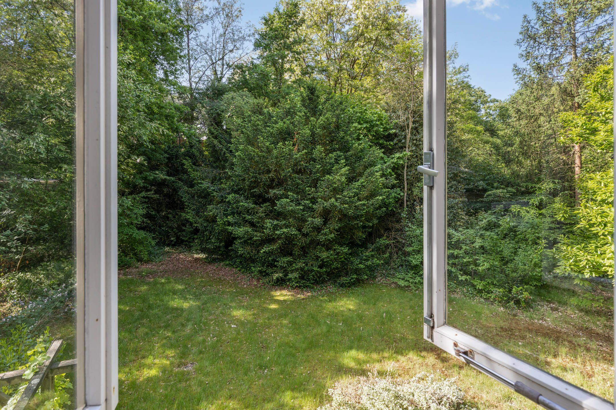 Foto 15 van Hazenloop 31