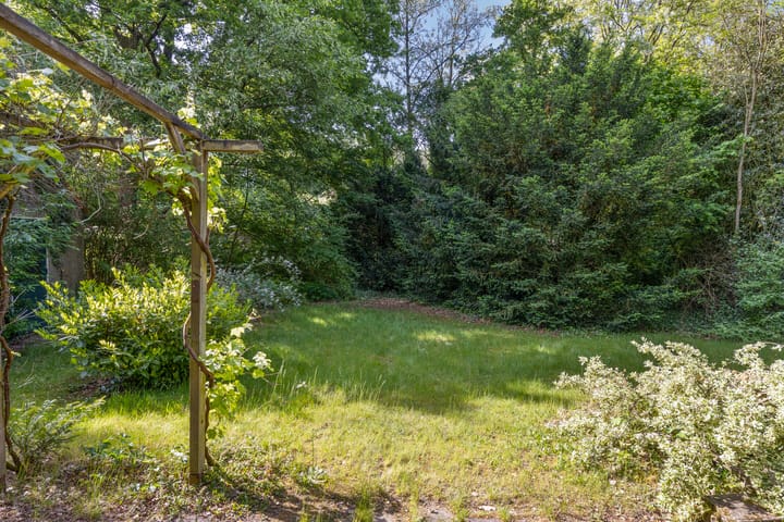 Foto 17 van Hazenloop 31