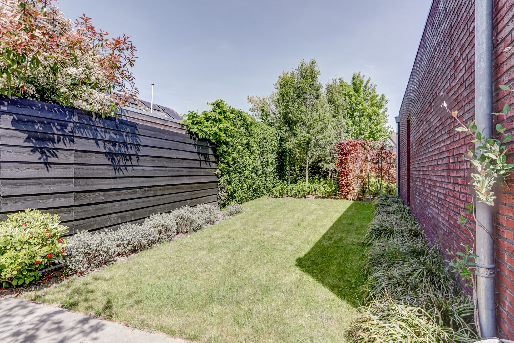 Foto 30 van Hoge Ham 81-B