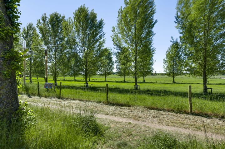 Foto 4 van Noenever 24