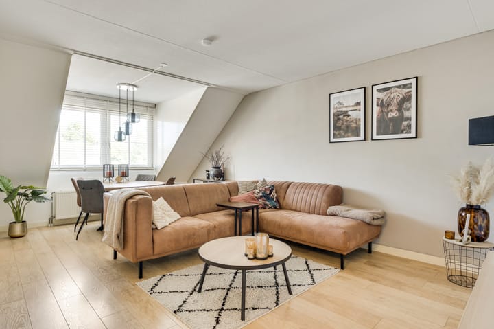 Foto 8 van Noenever 24