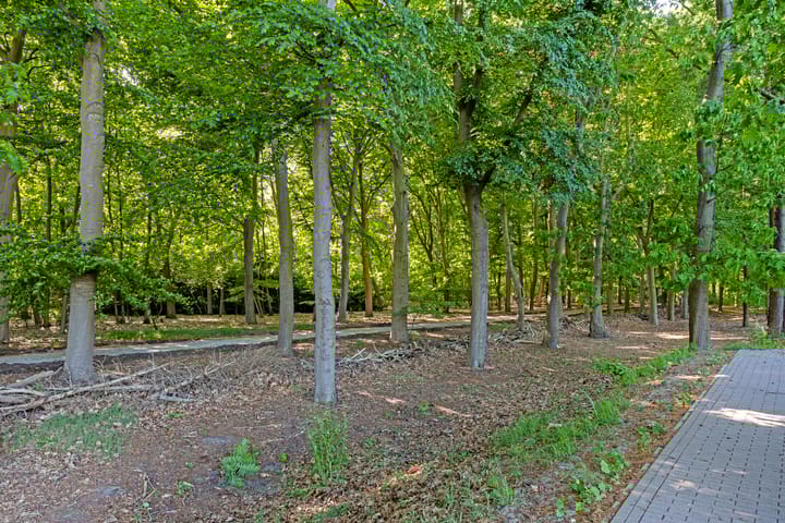 Foto 33 van Paterslaan 5-A