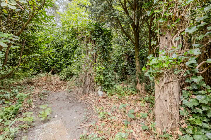 Foto 77 van Statenlaan 74