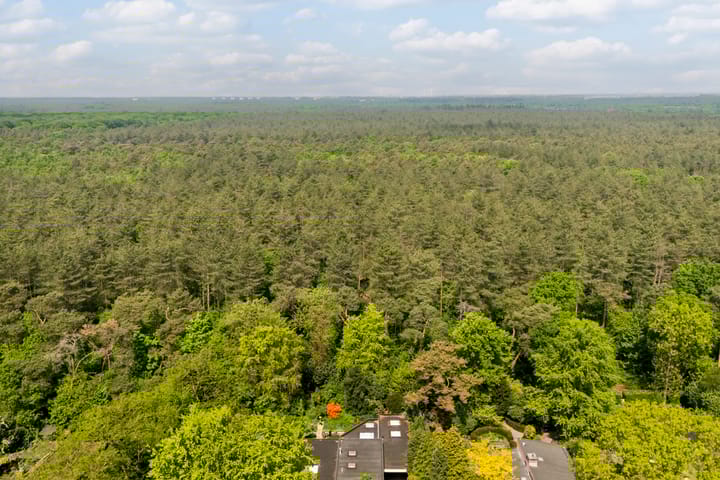 Foto 98 van Statenlaan 74