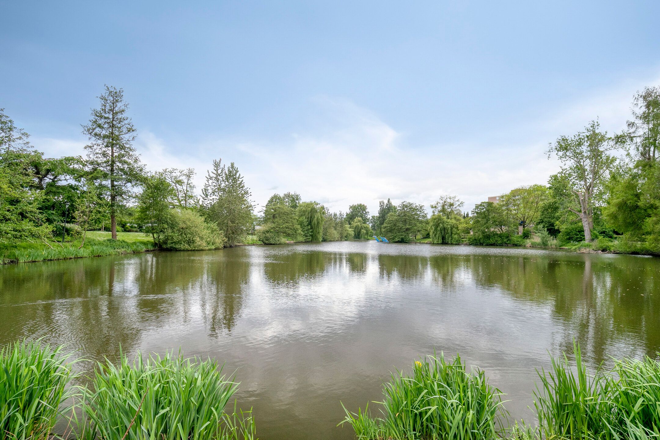 Photo 39 of Aquariuslaan 16