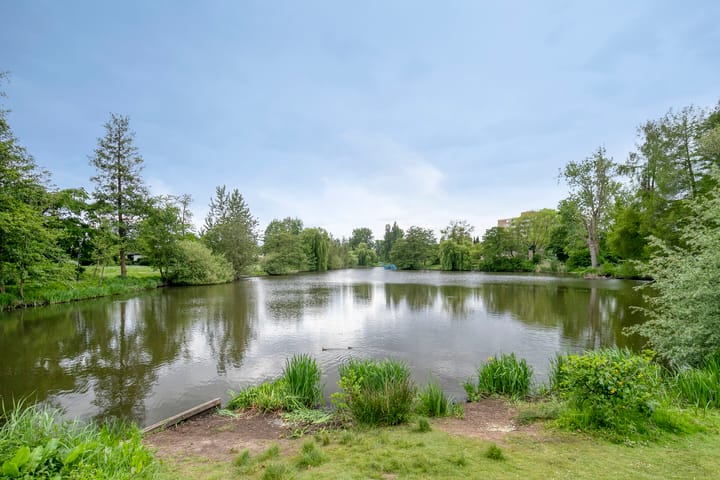 Foto 40 van Aquariuslaan 16