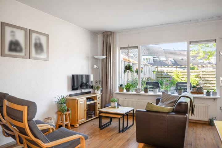 Foto 3 van Veldhommel 51