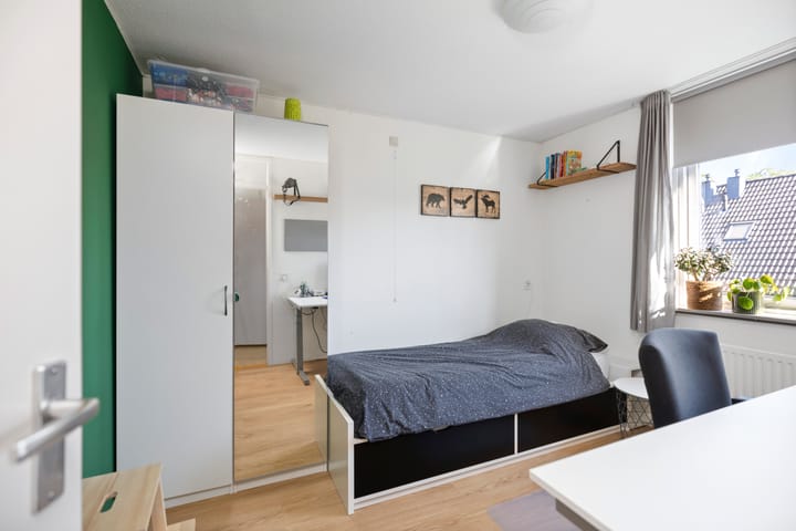 Foto 12 van Veldhommel 51