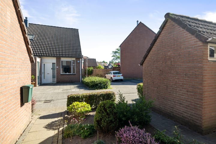 Foto 23 van Veldhommel 51