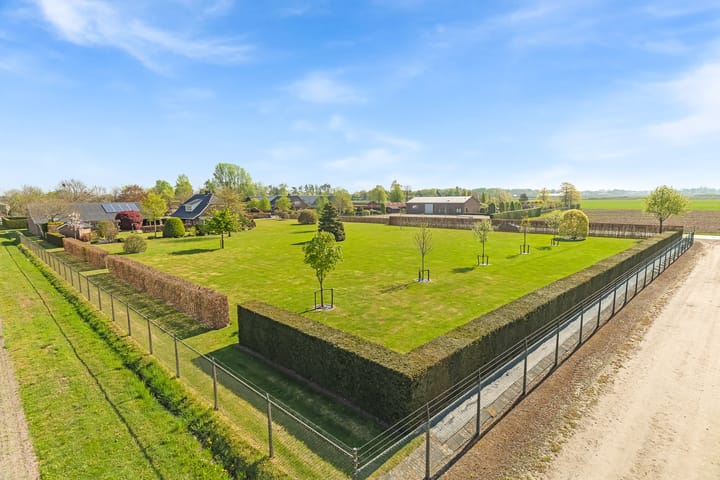 Foto 5 van Prof. H. van der Hoevenstraat 9-A