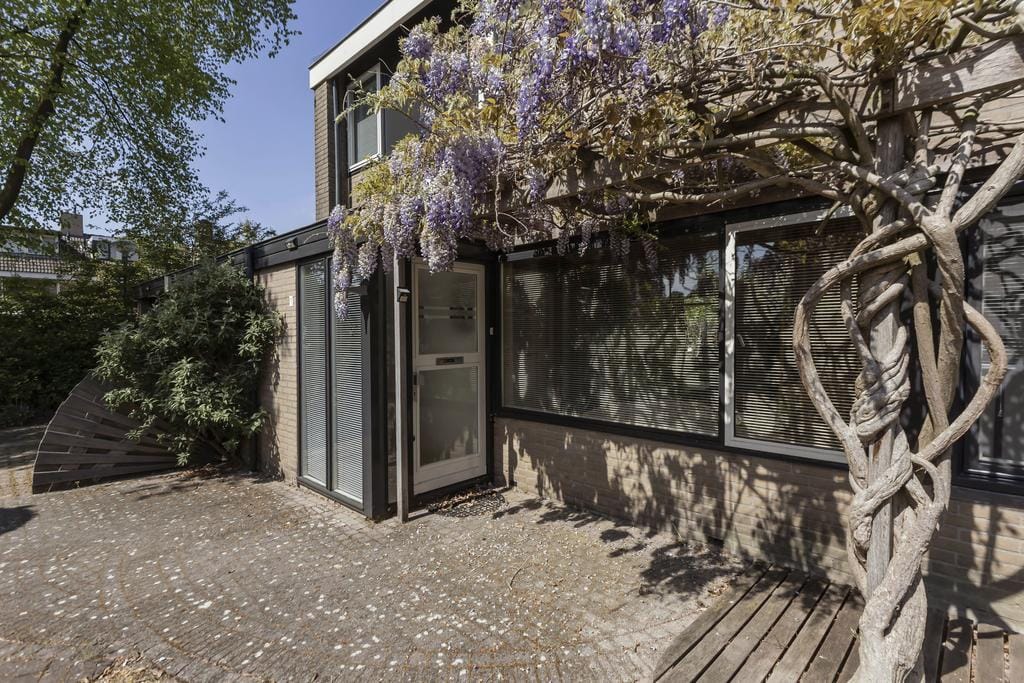 Foto 3 van Koolzaadland 1