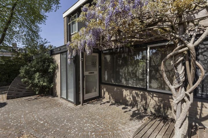 Photo 3 of Koolzaadland 1