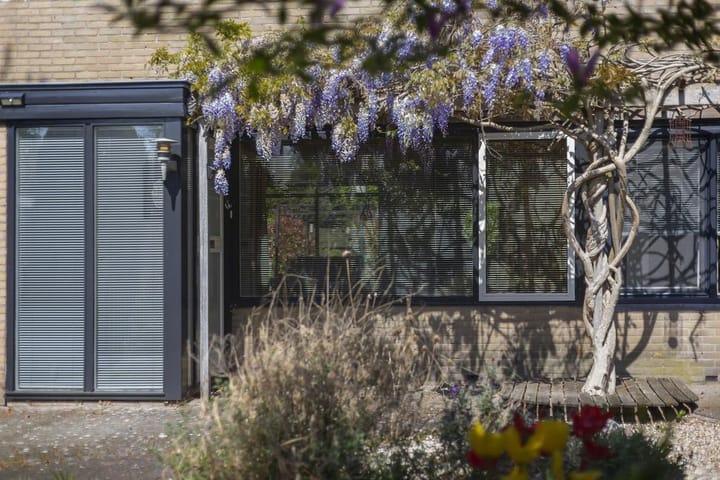 Photo 4 of Koolzaadland 1