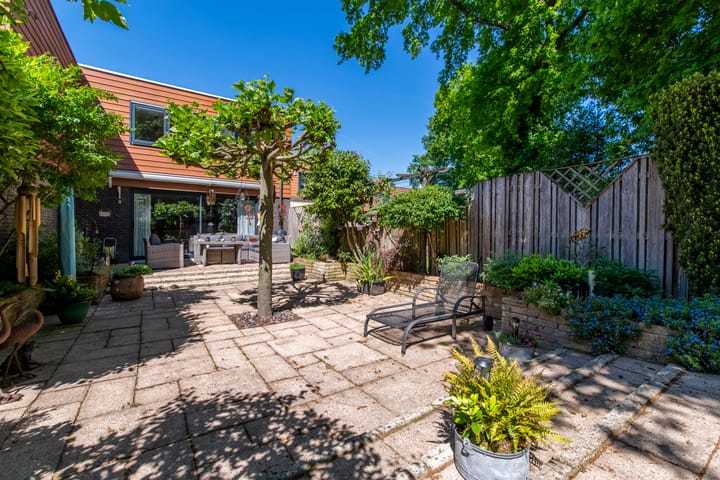 Foto 2 van Satijnzwam 22