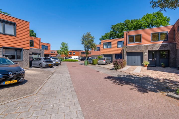 Foto 3 van Satijnzwam 22