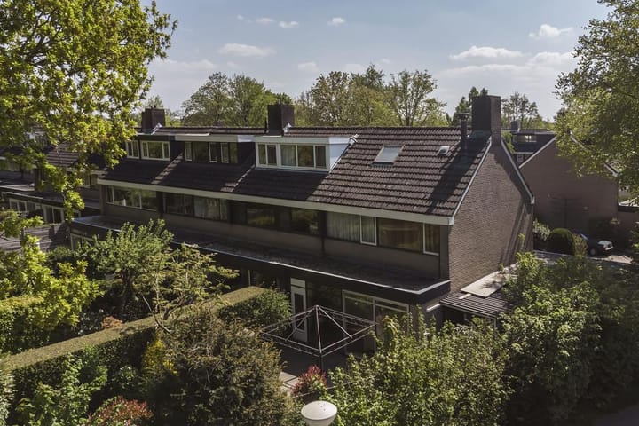 Photo 18 of Koolzaadland 1