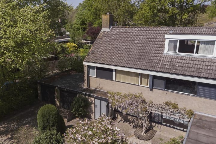 Photo 27 of Koolzaadland 1