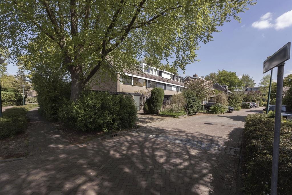 Foto 28 van Koolzaadland 1