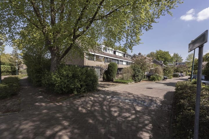 Photo 28 of Koolzaadland 1