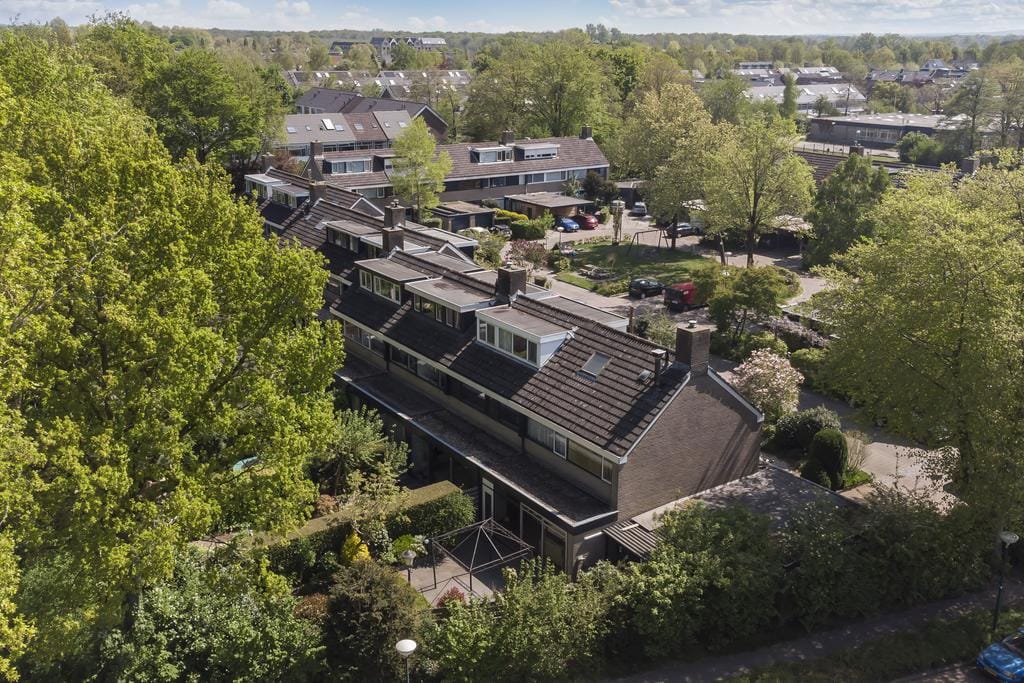 Foto 29 van Koolzaadland 1