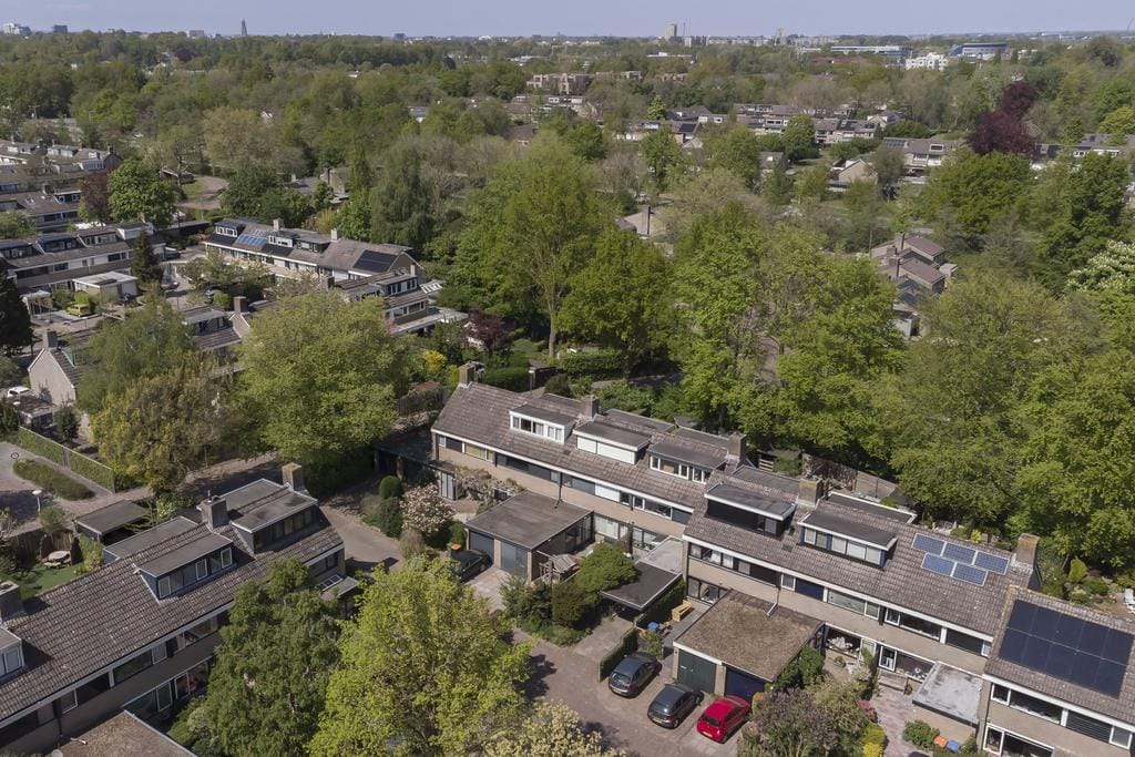 Foto 31 van Koolzaadland 1