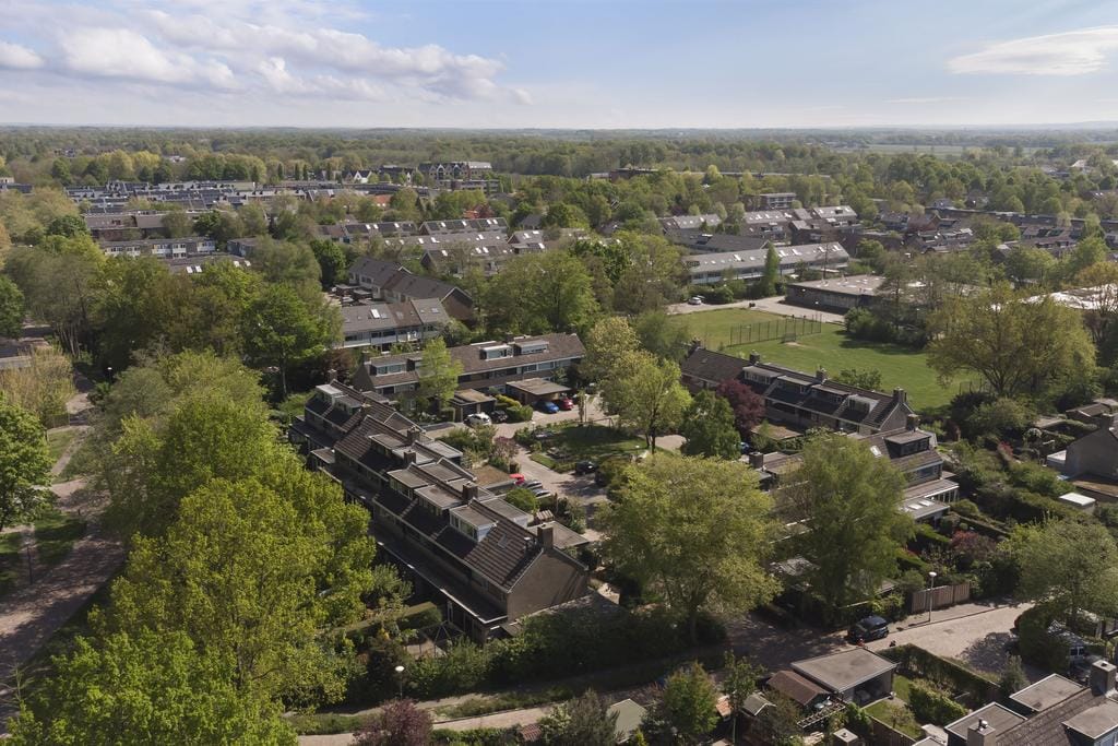 Foto 32 van Koolzaadland 1