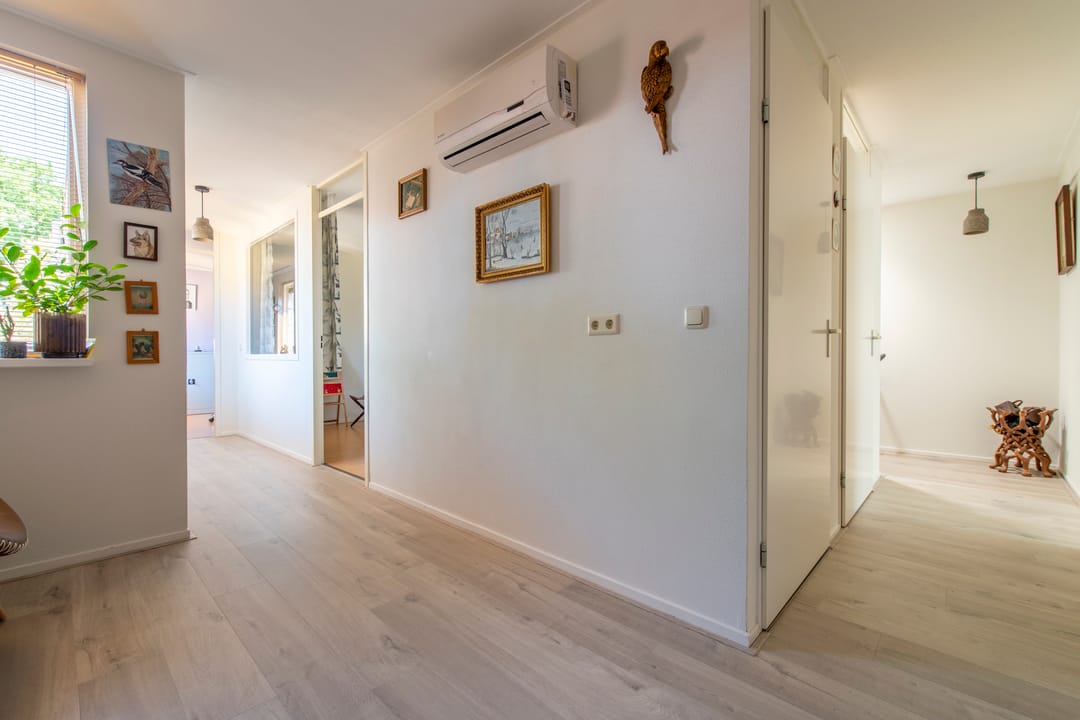 Foto 16 van Satijnzwam 22