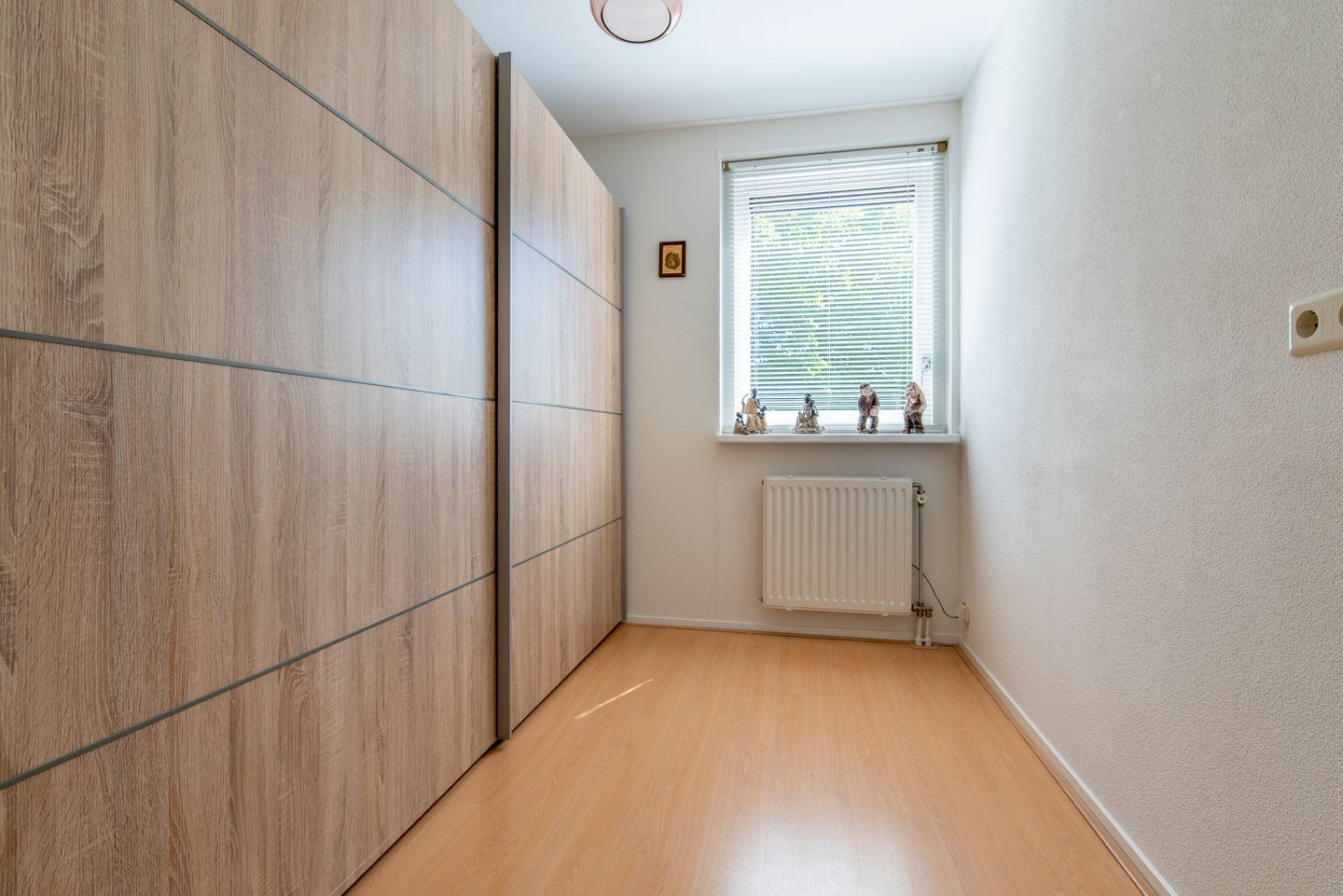 Foto 19 van Satijnzwam 22