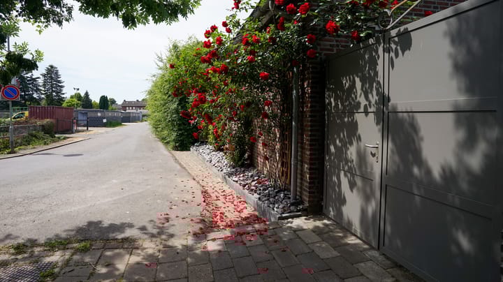 Foto 63 van Ruitersweg 11