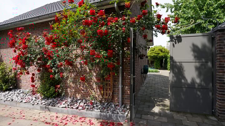 Foto 64 van Ruitersweg 11